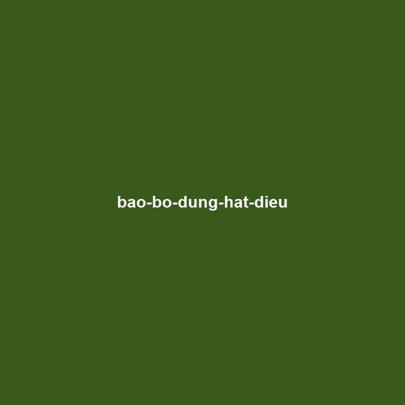 Bao bố đựng hạt điều