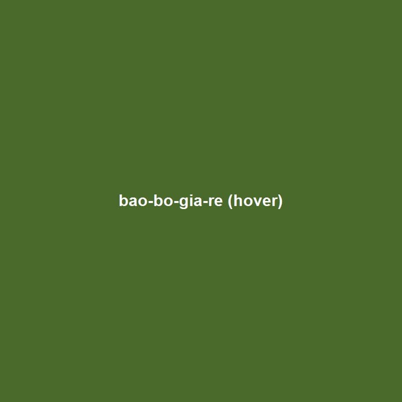 Bao bố giá rẻ - ảnh chi tiết